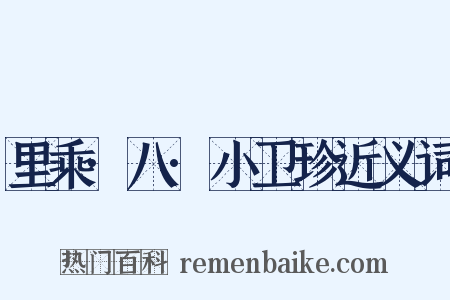 里乘·八·小卫珍近义词是什么意思的图片